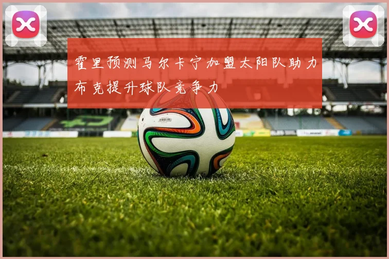 霍里预测马尔卡宁加盟太阳队助力布克提升球队竞争力